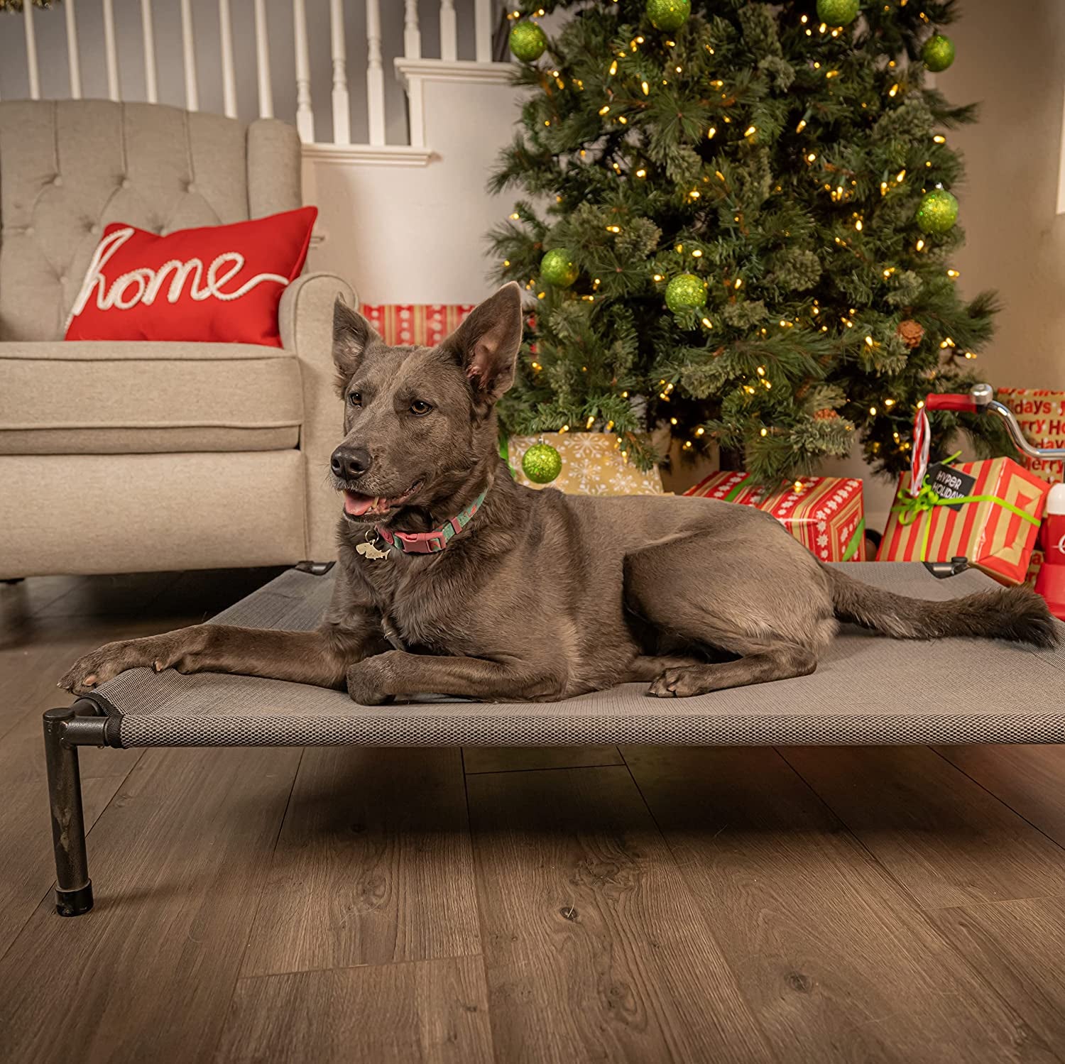 Raised Rest Deluxe Elevated Dog Bed (Outdoor Dog Bed That Is a Washable Dog Bed -Great Raised Dog Bed, Large Dog Bed- X-Large Dog Bed) 40X30X6.99-Holds 125 Lbs-Gray