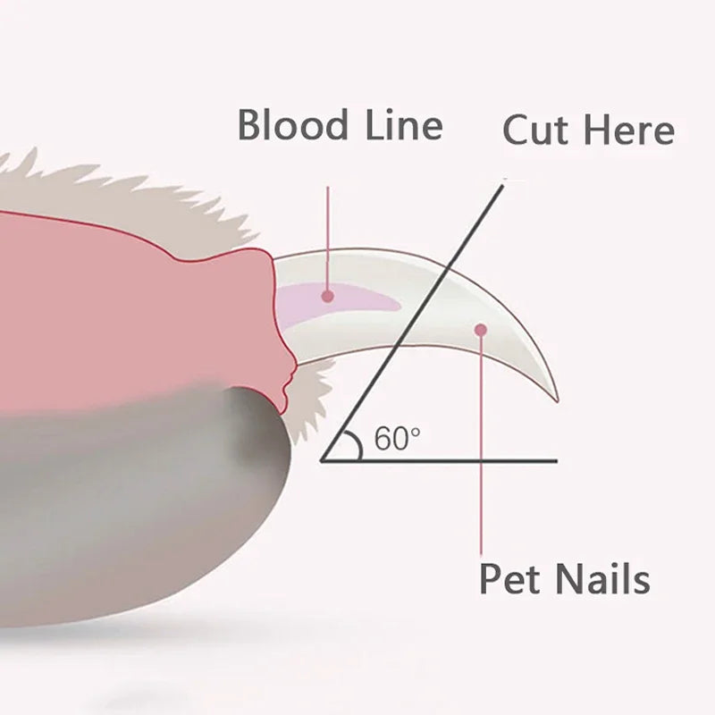 Professional Pet Nail Clippers with LED Light for Dogs, Cats, and Small Animals - Paw Grooming Scissors and Nail Trimmer