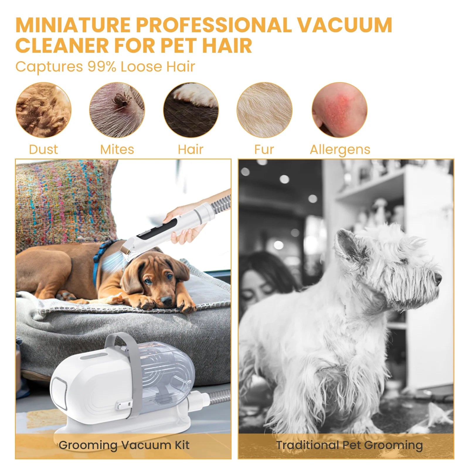 Professional Pet Grooming Vacuum for Dogs and Cats, 13000Pa Suction Power, 5-in-1 Grooming Kit with Low Noise, 2.5L Dust Cup, Wireless Clippers, and Deshedding Brush - At-Home Pet Hair Cleaning Solution