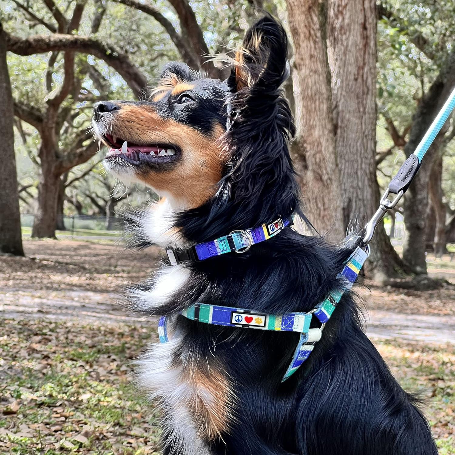 Personalized Adjustable Nylon Dog Collar with Embroidery - Custom Pet Name & Phone Number - Available in Small Green, White, and Blue