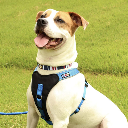 Personalized Adjustable Nylon Dog Collar with Embroidery - Custom Pet Name & Phone Number - Available in Small Green, White, and Blue