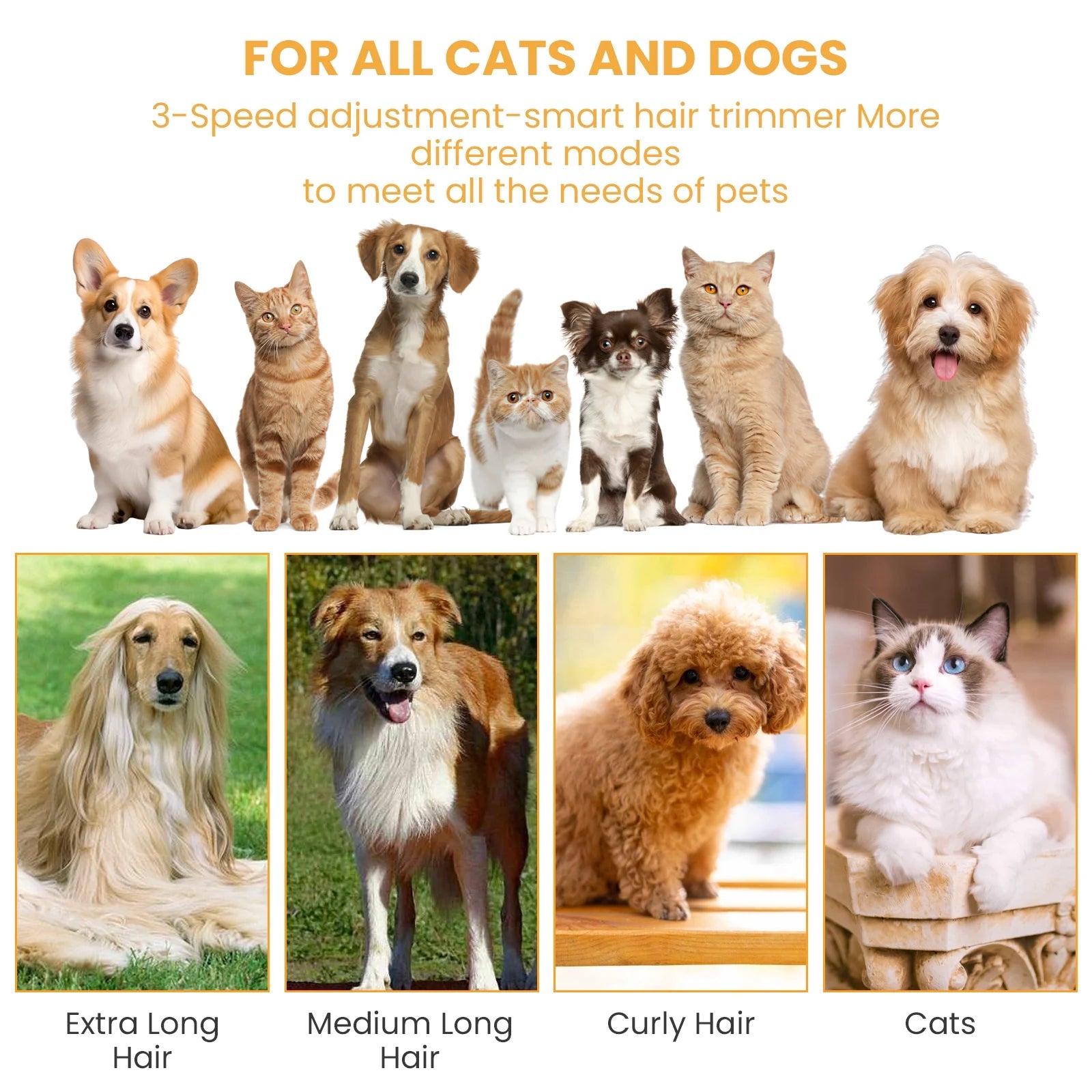 Professional Pet Grooming Vacuum for Dogs and Cats, 13000Pa Suction Power, 5-in-1 Grooming Kit with Low Noise, 2.5L Dust Cup, Wireless Clippers, and Deshedding Brush - At-Home Pet Hair Cleaning Solution